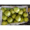 NEW CROP CHINESE PEAR