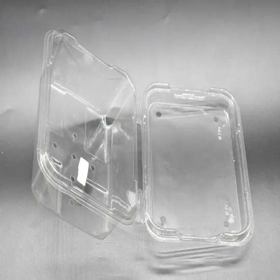 Hot Sale Food Grade Disposable Plastic Fruit Tray