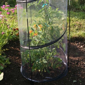 Twist Up Tomato Cloche