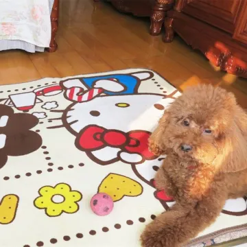 Anti-bacterial Washable Memory Foam Waterproof Pet Dog Bed Mat Rug