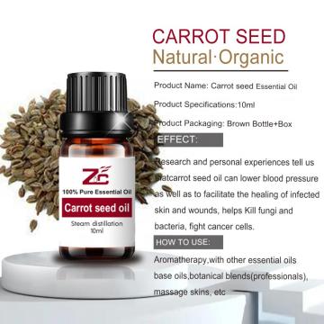 Wholesale Bulk Organic Carrot Seed Oil Skin Care