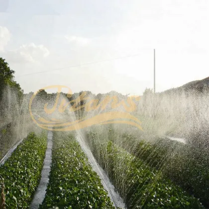 HDPE 32MM Pipe for Farm Irrigation Systems - Drip Irrigation System