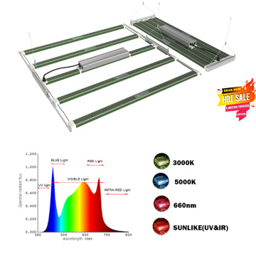 Luci a LED in coltivazione interna