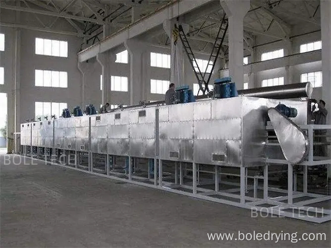 Herbal medicine drying machine conveyor belt dryer