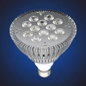 LED PAR 38, LED PAR Lamp