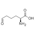 L-2-AMINOADIPATE 6-SEMIALDEIDE CAS 1962-83-0