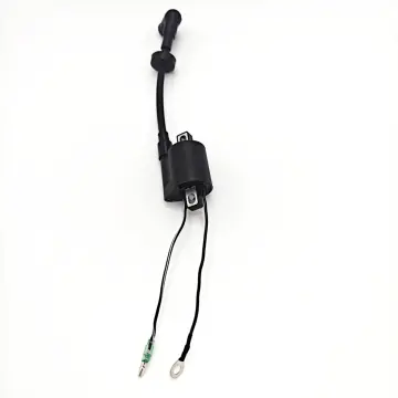Marine Engines Ignition Coil 3HP 4HP 5HP 2-stroke for Yamaha Outboard Motor Parts 6E0-85570-00