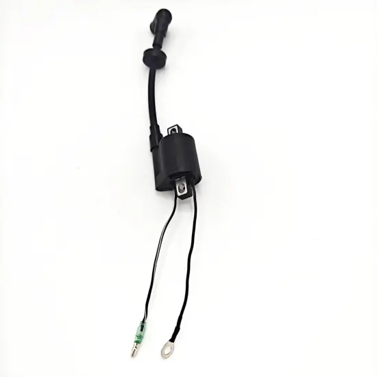 Marine Engines Ignition Coil 3HP 4HP 5HP 2-stroke for Yamaha Outboard Motor Parts 6E0-85570-00