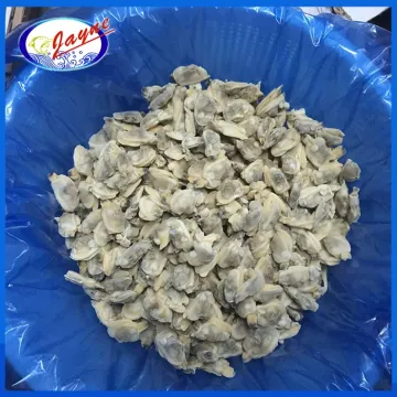 new arrival delicious frozen short-necked clam meat without shell