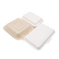 Biodegradable bio degradable sugar cane sugarcane bamboo pulp bento box bagasse food container