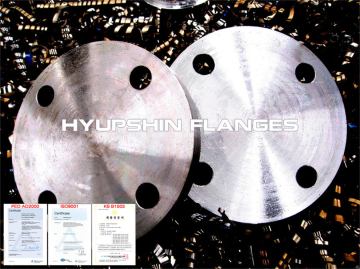 DIN2527 Blind BLFF Flange แปลนเปล่า