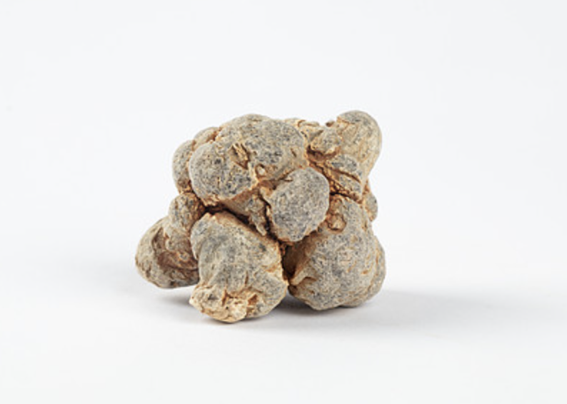 Panax Notoginseng Extract Supplier
