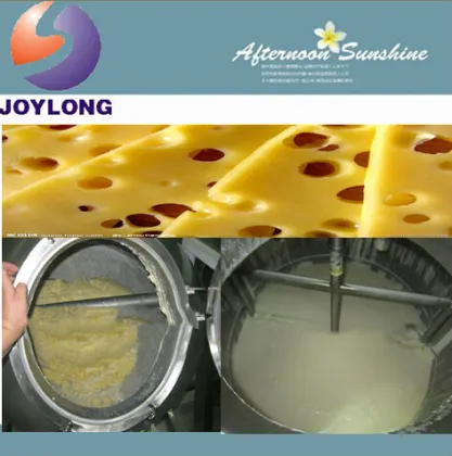 Complete mozzarella dairy cheese processing machine
