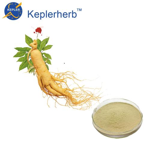 Ginseng Panax Extrakt Pulver Ginsenosids UV