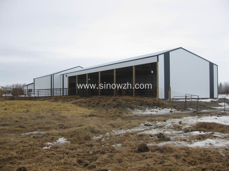 Easy install steel structure poultry farm cowshed