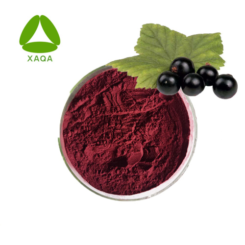 Pure Natural Maqui Berry Extrait anthocyanidines 1% de poudre