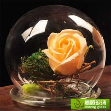 Handmade Clear Oval Glass Terrarium Vase