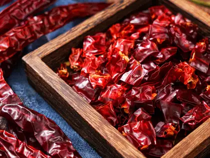 Spicy to the point screaming Dried chili-Erjingtiao