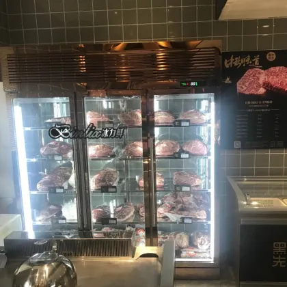 Dry Aging Refrigerator for Wagyu Beef Fillet and Steak in Restaurants