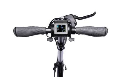 Best Electric Scooters: E-TWOW 500W 2-Wheel Scooter for Adults