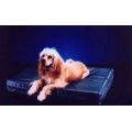 Cooling Pet Dog Water Bed