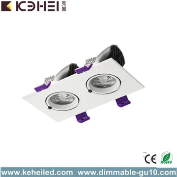 LED Trunk Downlight with Two Lamps 2*12W IP20