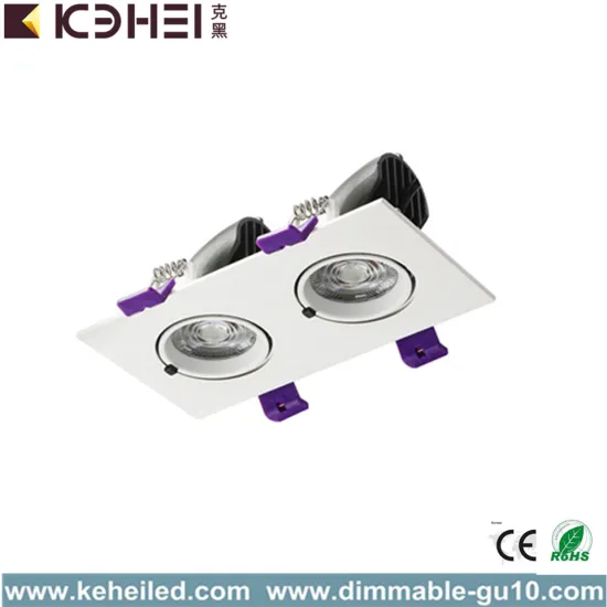 LED Trunk Downlight with Two Lamps 2*12W IP20