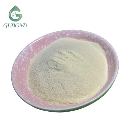 Sunflower Seed Protein for Commercial Food Manufacturing