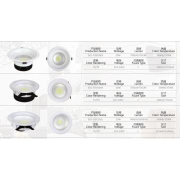 Well Qualified 10/15w Down LED Light
