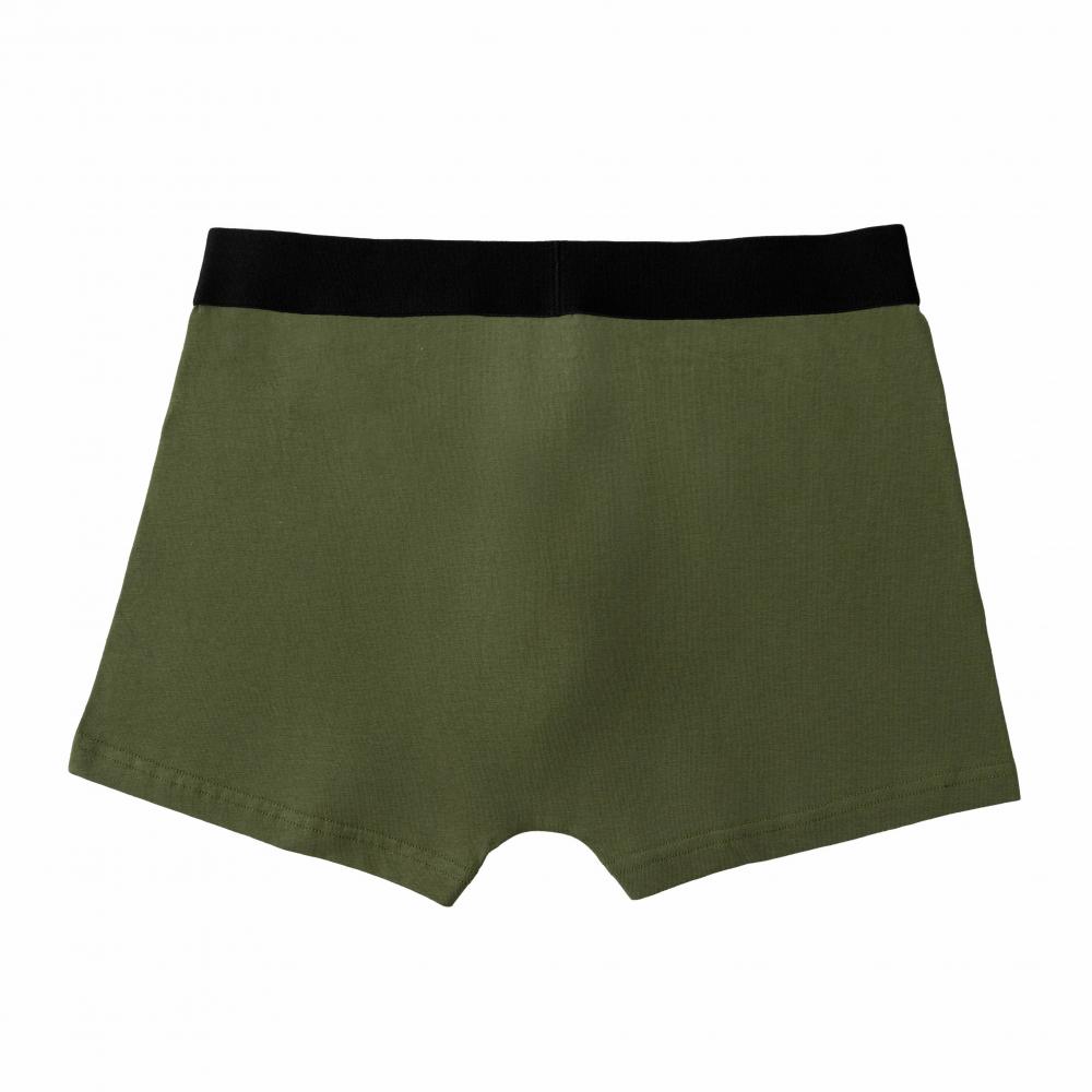 Green Men's Elastic Waist Boxers Briefs