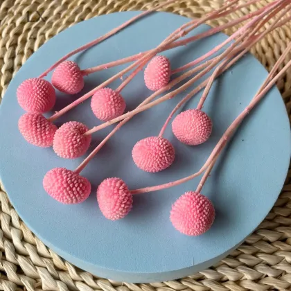 Wholesale Preserved Craspedia Golden Balls for DIY Flower Arrangements