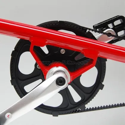 Jaunty Folding Bike for Kids and Adults