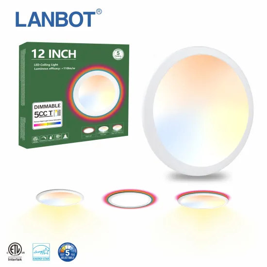 Easy-to-Install 12 Inch Dual-Color RGB LED Ceiling Light with Integrated Night Light