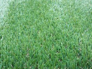 12800Dtex Green Decoration Outdoor Artificial Grass Lawn Tu