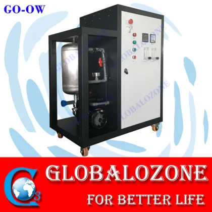 Multi function ozone generator water disinfection ozonated water machine
