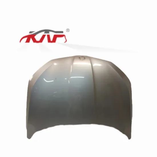 Wholesale Hood Cover for Skoda Rapid 2021 - 60U823031A