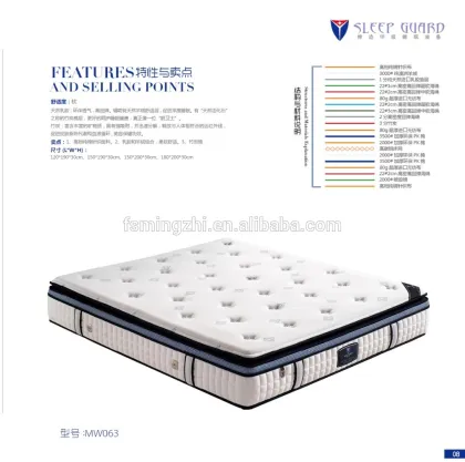Memory foam Mattress