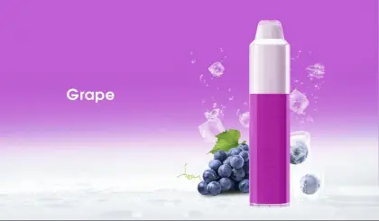 600 Puff Plus Disposable Vape Blink Electronic Cigarette