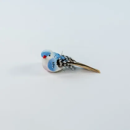 Halloween supplies dublin