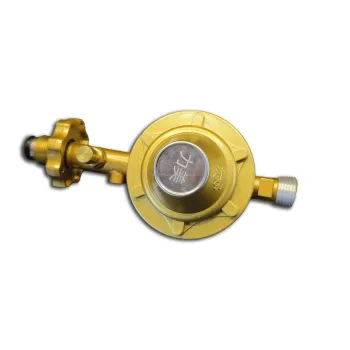 Automatic LPG Gas Home Low Pressure Reducer Household Regulator for Cylinder