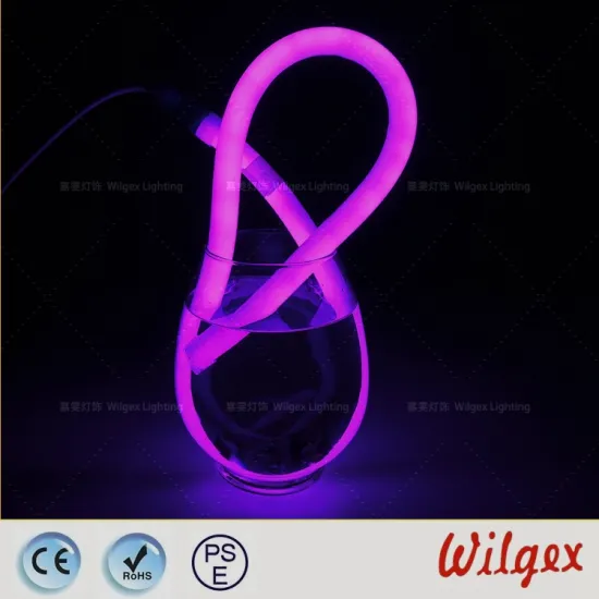 360 Neon flex rope lights for accessing lighting