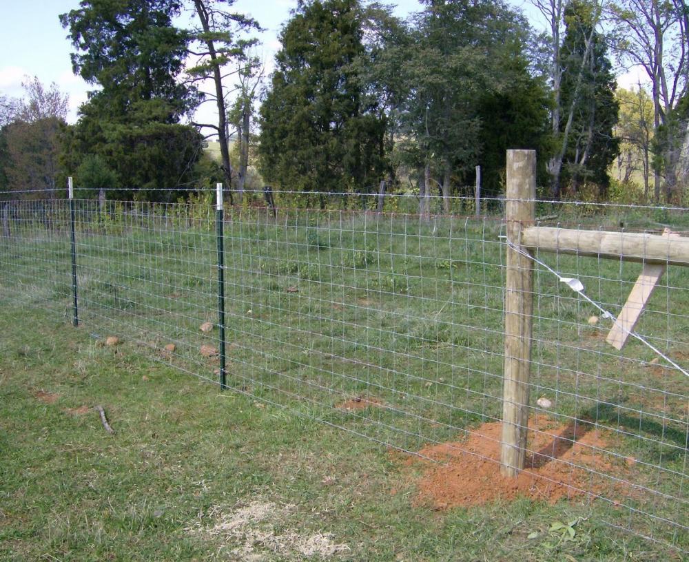 PVC Coated Field Fence Deer Farm Fence