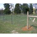 PVC-überzogener Feld-Zaun Deer Farm Fence
