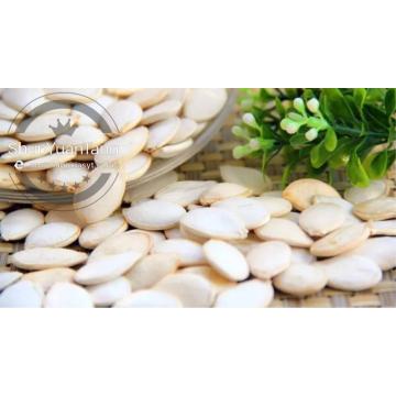 agriculture products of snow white pumpkin seeds