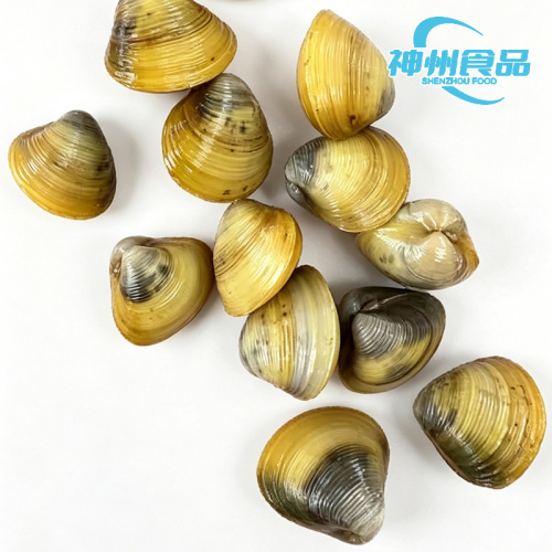 Gefrorenes Muschelfleisch, hochwertige Auswahl an aquatischen Meeresfrüchten