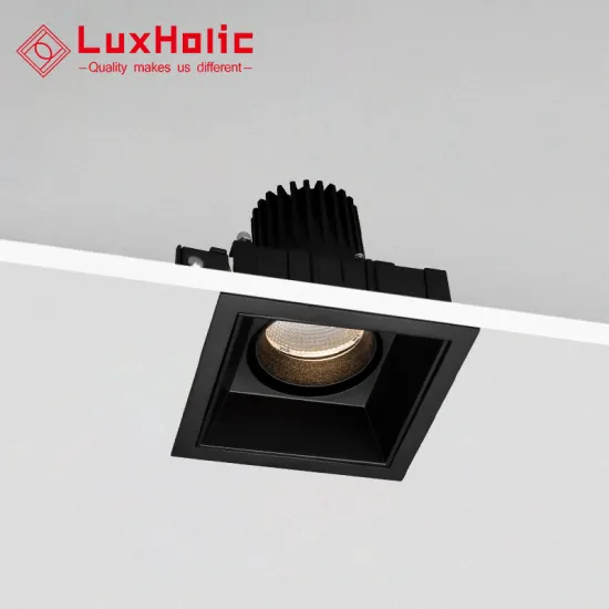 LuxHolic New Design 90mm 10W LED Recessed Adjustable Wall Washer Downlight