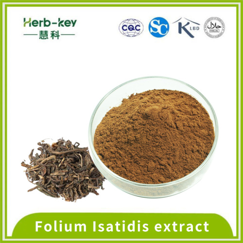 Folium isatidis extrait cotains 0,5% d'indibine