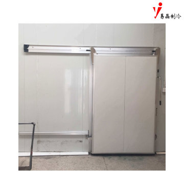 Allwetterisolierte Kalttür 12