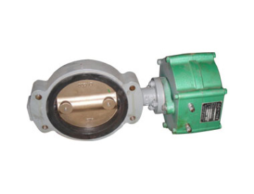 Electric Central Clamp Butterfly Valve KT 1 D for Marine Applications