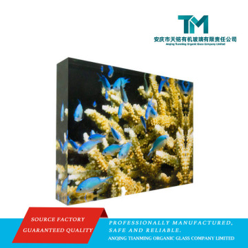 Premium massief acryl fotoblok-displayframe